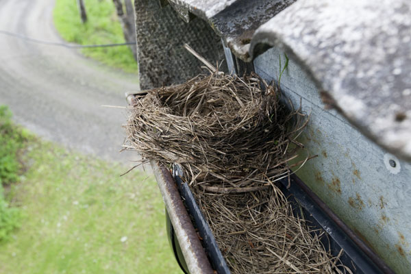 Gutter Rx invisible from the ground